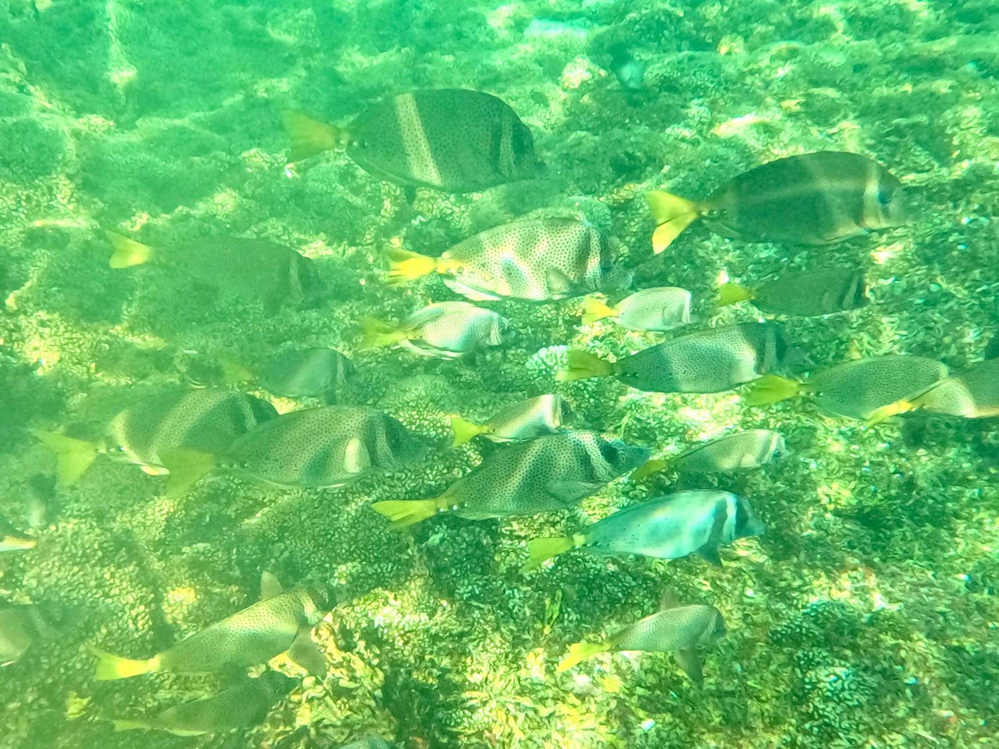 Agua Azul La Villa Santa Cruz Huatulco Bagian luar foto
